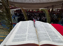 DOMINGO DE RAMOS 2026