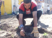 HUERTO JAVIER SEMILLITA