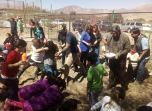 HUERTO JAVIER SEMILLITA