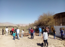 HUERTO JAVIER SEMILLITA