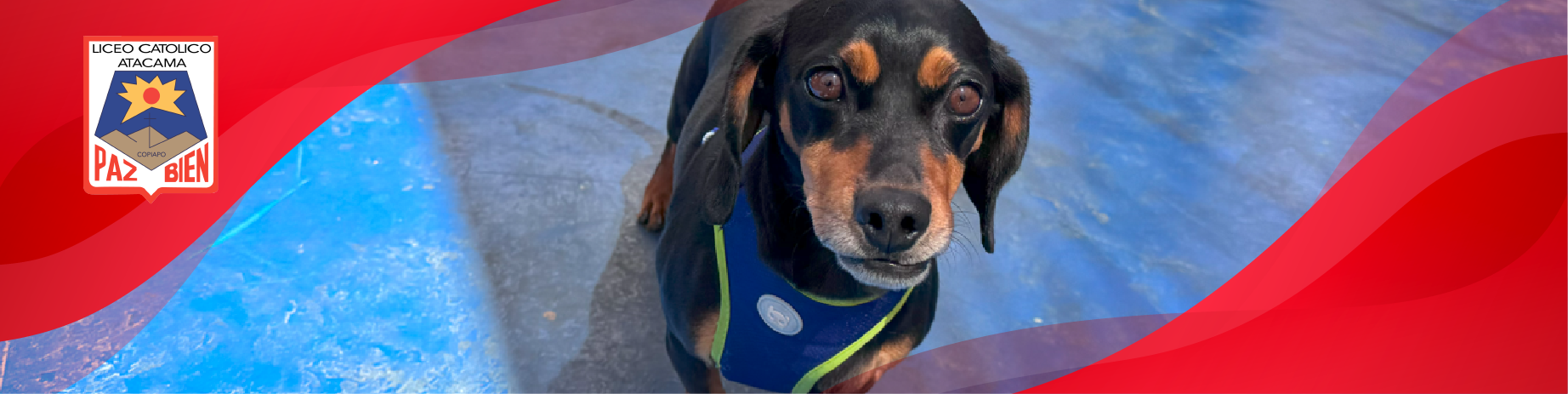 Una Tradición que Une a Nuestra Comunidad